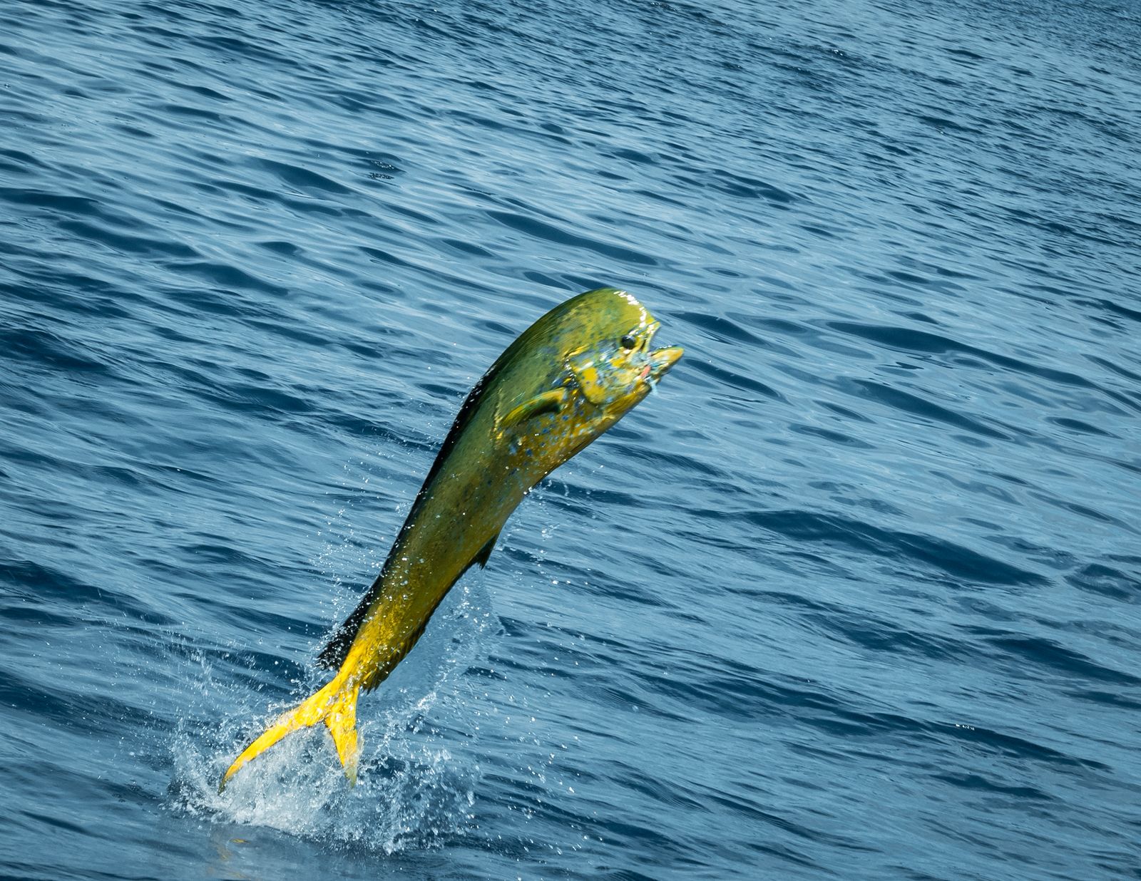 Sunset at Marina Bay